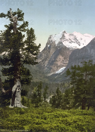 Wetterhorn, general view, Bernese Oberland, Switzerland, Historic, digitally restored reproduction