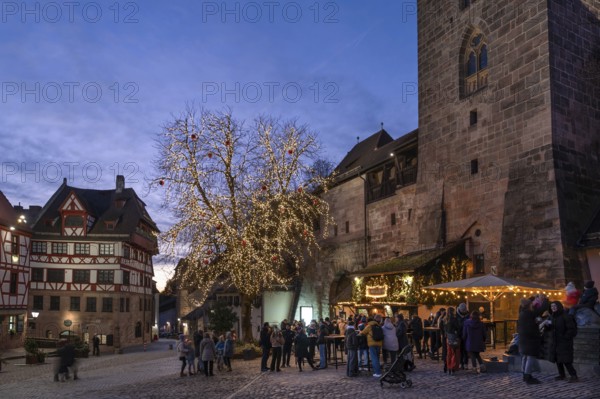 Albrecht Dürer House with tree of lights in the evening at Christmas time, Tiergärtnertorplatz,