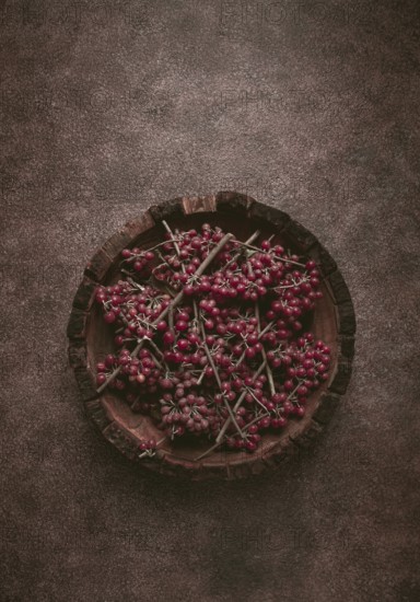 Shtoshi berry, Shepherd's pie, a hybrid of sea buckthorn and barberry, top view, no people
