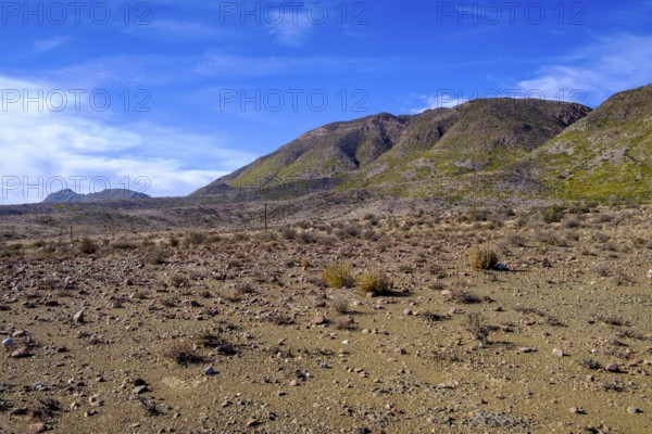 In the Karoo Desert, Weltevrede Road, near Prince Albert, Western Cape, South Africa, Africa