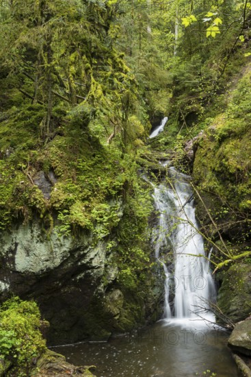 Moss-covered rocks and waterfall, Wutach Gorge, Bonndorf, Baden-Württemberg, Black Forest, Germany,