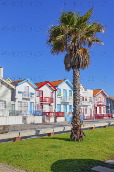 Traditional wooden striped houses, Costa Nova do Prado, Aveiro, Portugal, Europe