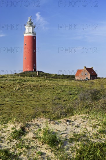 Lighthouse Eierland with houses, De Cocksdorp, Texel, West Frisian Islands, province North Holland,