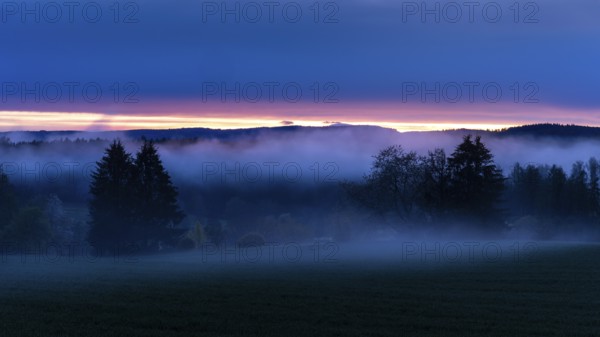 Landscape in the Little Odenwald. Meadow, trees and forest. After sunset, with rising mist (ground