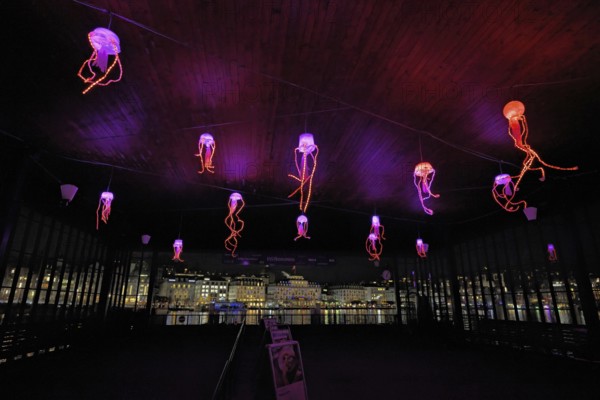 Coloured illuminated octopuses on the ceiling of the boat station, Lilu, Light Festival 2025,