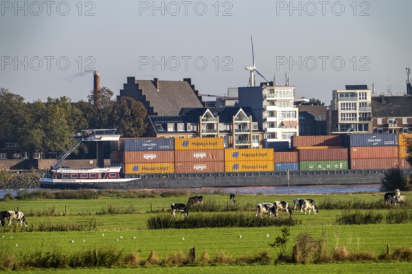 Skyline of Emmerich, on the Lower Rhine, pastures on the left bank of the Rhine, cows, container