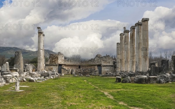 Excavation site site of the ancient city of Aphrodisias, Temple of Aphrodite, today's city of