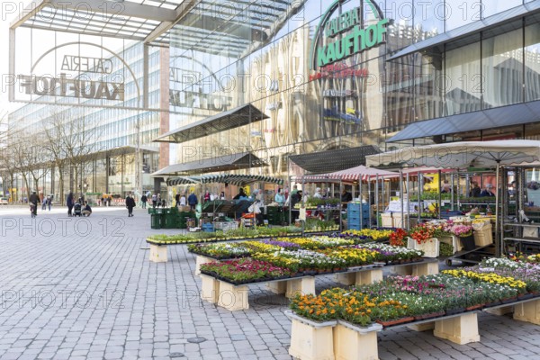 Market stalls with flowers in front of the modern glass façade of the Kaufhof Gallery on the market