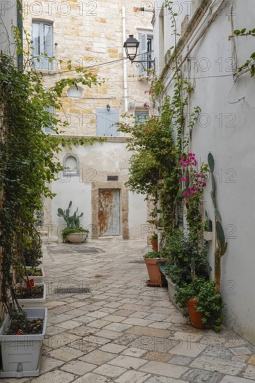 Picturesque Mediterranean alley with plants and old buildings in a quiet atmosphere, Polignano a