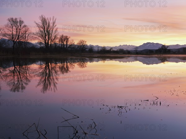Pilatus reflected in the flooded nature reserve in the evening light, Reussspitz, Hünenberg, Canton