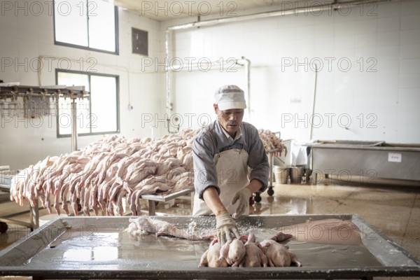 Production of salted ducks factory Nan Jing Ying Tao Yo Co. Ltd., for consumption in restaurants