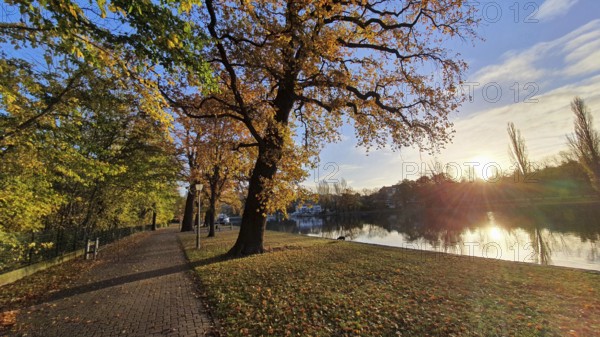 Autumnal walk along a river at sunrise with colourful foliage and a peaceful atmosphere, Bernburg