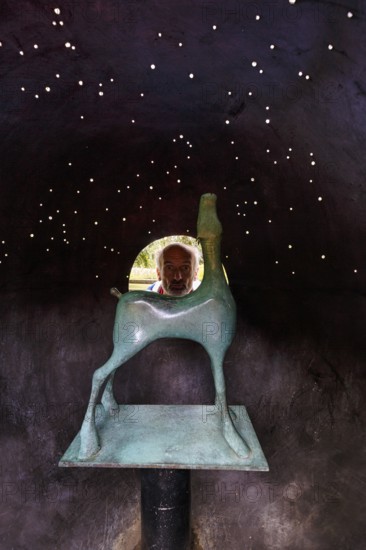 Sculpture of a thoroughbred horse under a starry sky, Irish National Stud, The Irish National Stud