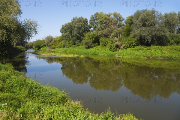 Calm river surrounded by green vegetation and trees reflected in the water, bow River, border with