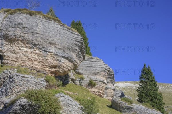 Surface karst rock formations, circular hike Monte Fior, Foza, province of Vicenza, Italy, Europe