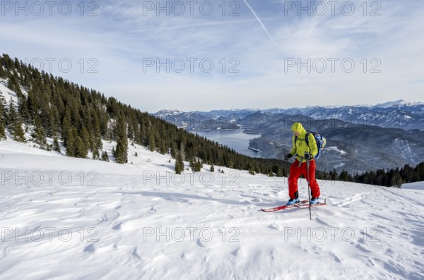 Ski tourers climbing Simetsberg, view of Walchensee, Estergebirge, Bavarian Prealps, Bavaria