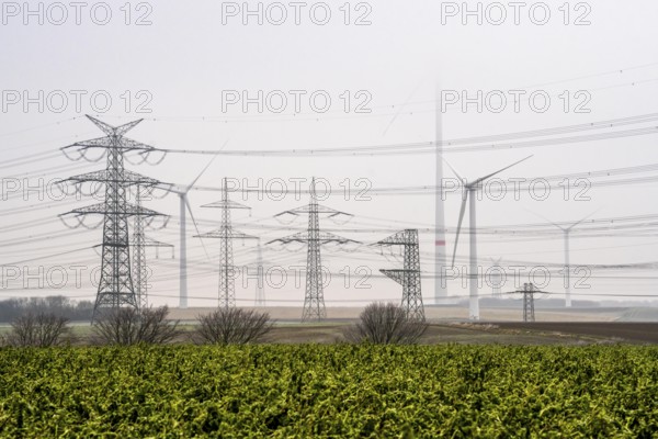 Wind farm in the fog, high-voltage pylons, dark doldrums, no wind no direct sunlight, in the