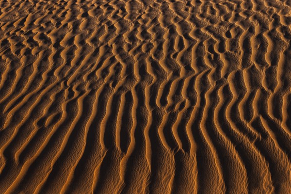 Wind-sculpted sand structure in the Rub al Khali desert, Dhofar province, Arabian Peninsula,