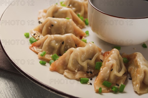 Japanese Gyoza dumplings, fried, with sauce, top view, without people, tinted, selective focus