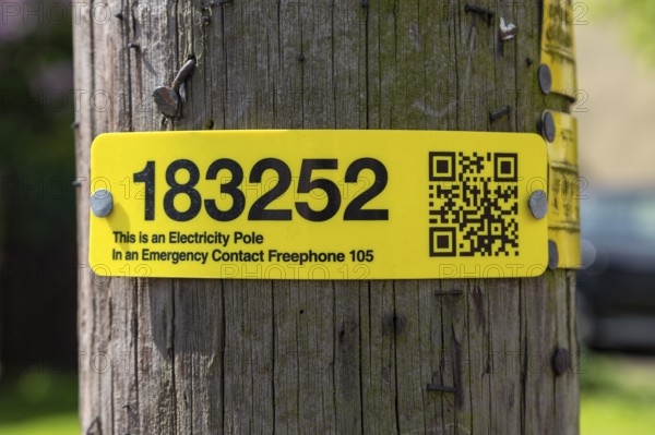 Electricity pole yellow numbered identification tag with emergency contact freephone phone number