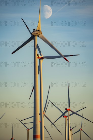 Wind farm near Bad Wünnenberg, Ostwestfalen Lippe, along the A44 motorway, North Rhine-Westphalia,