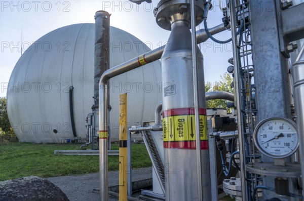 Biogas storage, biogas treatment plant, purification of biogas from organic waste, green waste and