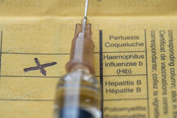 Vaccination booklet, vaccination against Haemophilus influenza type B (HiB), the most common