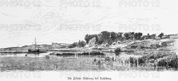 Fresh Spit near Krynica Morska or Kahlberg, Poland, coastal landscape, reeds, hilly landscape,