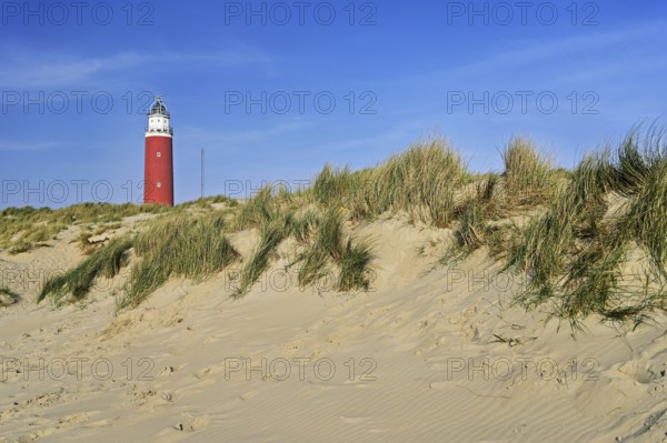 Eierland lighthouse with dunes, De Cocksdorp, Texel, West Frisian Islands, Province of North