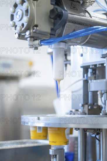 Machine fills white yoghurt into cups on a production line, ice cream production Haselstaller Hof,
