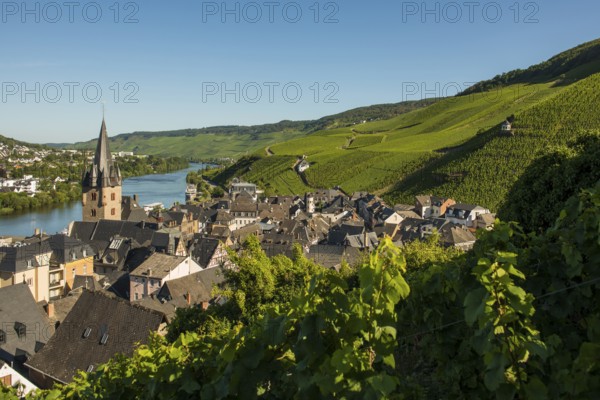 Picturesque village by the river and in the vineyards, Bernkastel-Kues, Moselle,