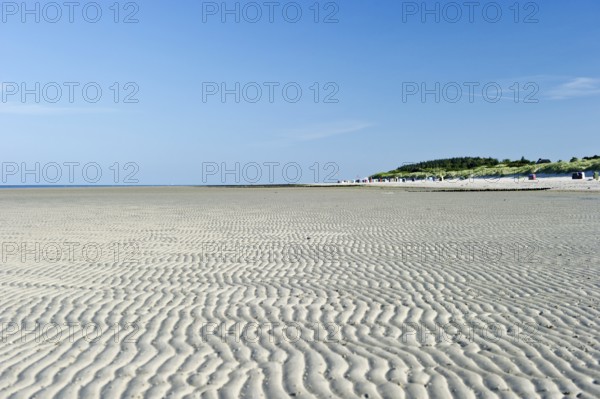 White beach at low tide, Föhr, North Frisian Islands, North Frisia, Schleswig-Holstein, Germany,
