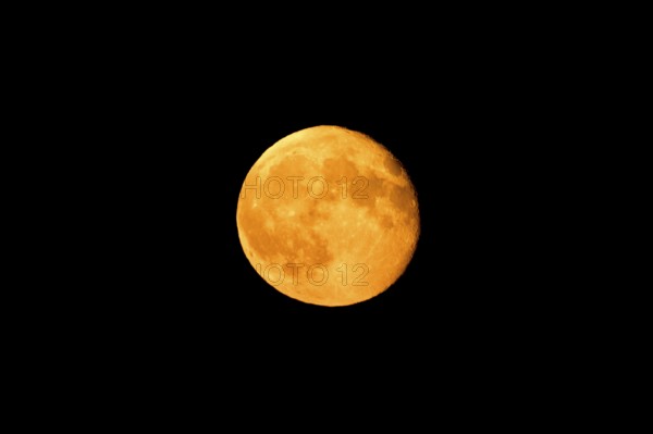 Bright orange full moon against a black night sky, super moon, Stuttgart, Baden-Württemberg,
