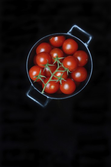 Cherry tomatoes in pots, cherry tomato, Solanum lycopersicum