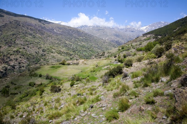 Landscape of the River Rio Poqueira gorge valley, High Alpujarras, Sierra Nevada, Granada Province,