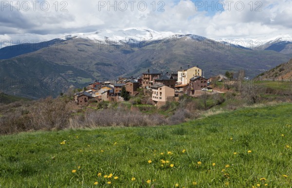 Small mountain village in front of snow-capped mountains, surrounded by green meadow and blooming