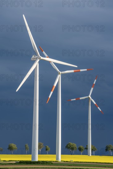 Wind turbines on a rape field, dark rain clouds, in the Rhenish lignite mining area, near