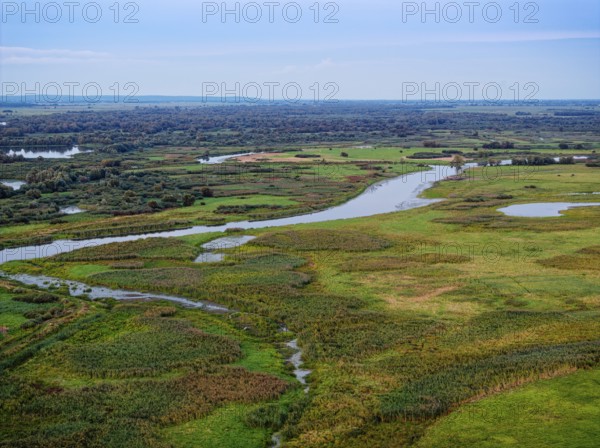 The Warta Estuary National Park, Park Narodowy Ujscie Warty, where the Warta flows into the Oder.