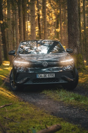 Black car standing on a forest path, bathed in warm light, car sharing vehicle Deer Mobility,