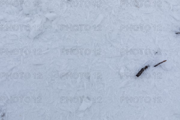 Ice crystals from the hoarfrost, blown by the wind from the trees, lie on the snow on the summit of