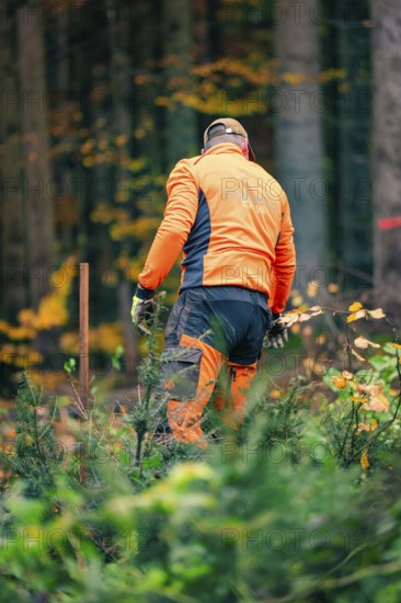 Forestry worker in orange clothing plants trees in autumn forest, tree planting campaign, Waldbike