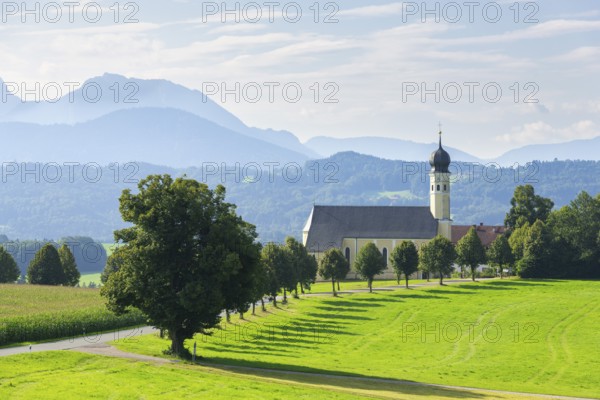Pilgrimage church of St Marinus in Wilparting, cornfield, avenue, meadow, municipality of