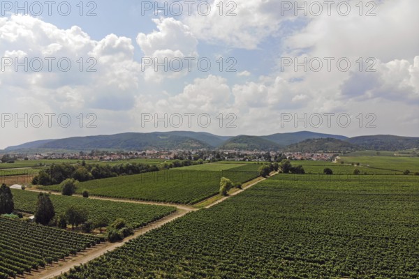 Flight over the vineyards on the Wine Route in the Palatinate wine-growing region, with the