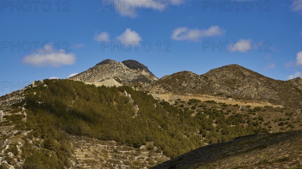Mountain landscape with wooded hills and blue sky, Northern West Coast, Karpathos, Dodecanese,