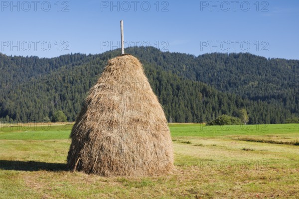 Traditional haystack Triste in the Rothenthurm high moor, Canton Schwyz, Switzerland, Europe