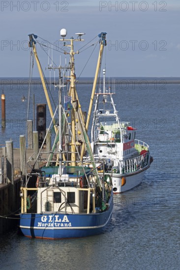Fishing cutter, SAR boat, harbour, Strucklahnungshörn, Nordstrand, North Frisia,