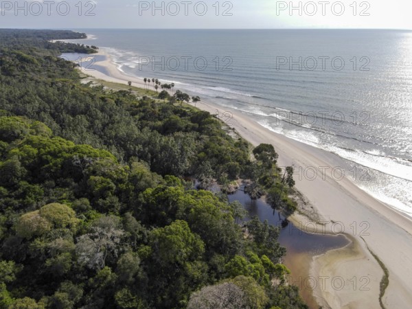 Beach in Loango National Park, Parc National de Loango, Atlantic Ocean, aerial view,