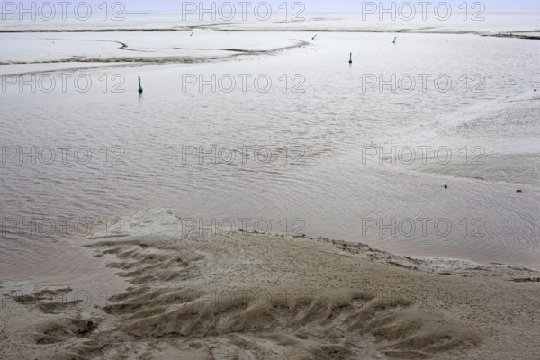 Low tide, mudflats, Dollart, Nieuwe Statenzijl, Netherlands