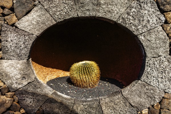 2016, Guatiza, Lanzarote, Jardin de Cactus by Cesar Manrique, ESP, Spain, Canary Islands, Canary