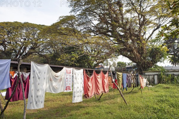 Laundry hanging to dry in the Dhoby Khana laundry, Kochi, Kerala, India, Asia